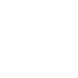 SPEDIZIONE IN TUTTA EUROPA